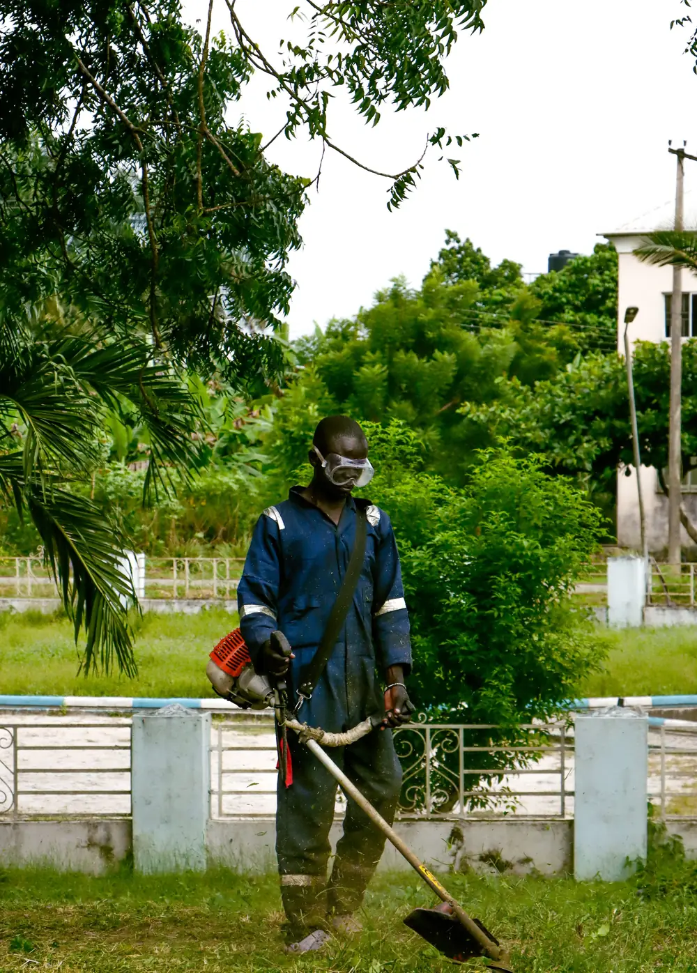 Professional grounds and garden maintenance