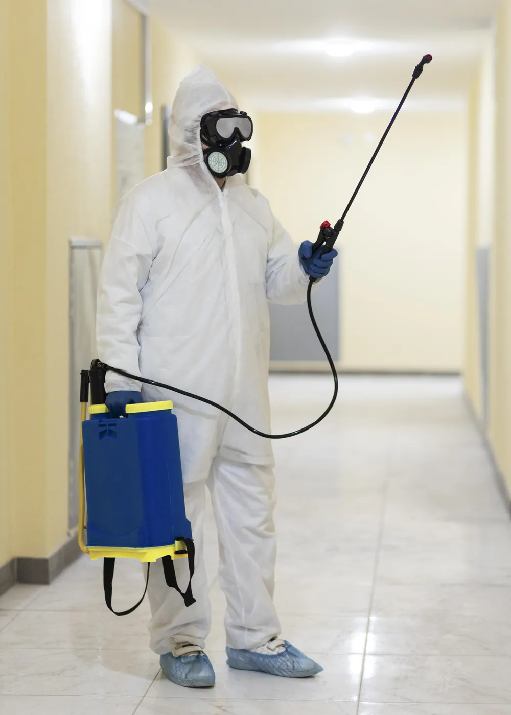 Professional pest control and fumigation service